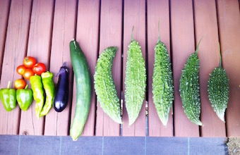 ふぞろいの優しい野菜さんたち