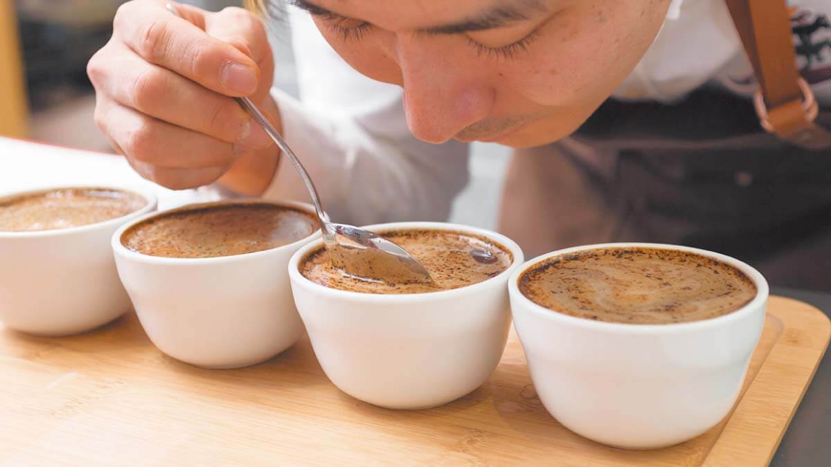 コーヒー豆のカッピング工程