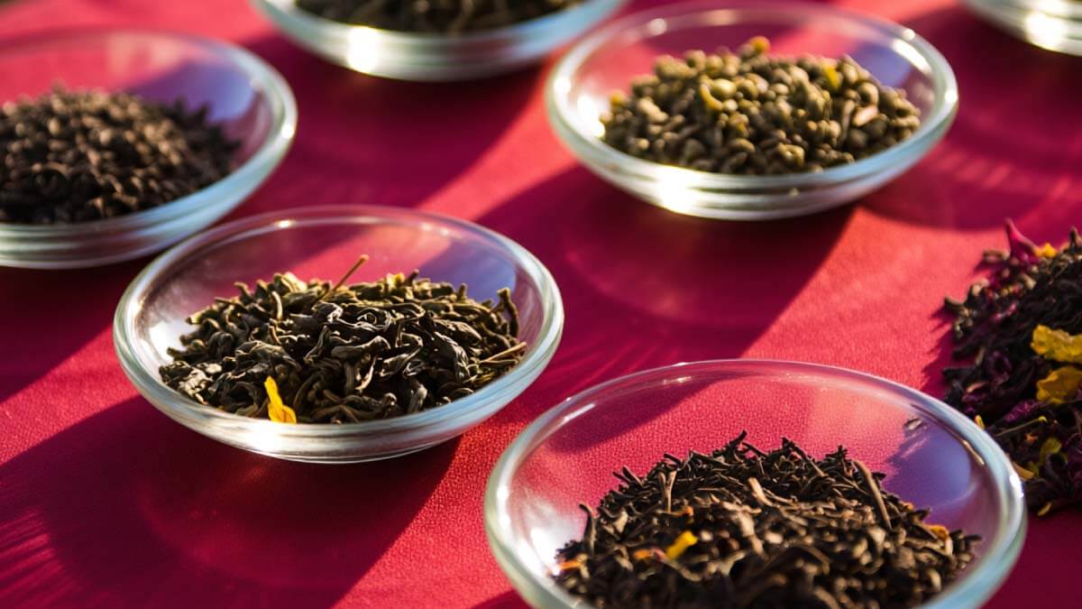 小皿に入って並べられたさまざまな種類の茶葉
